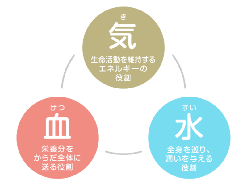 53_sinkyu1