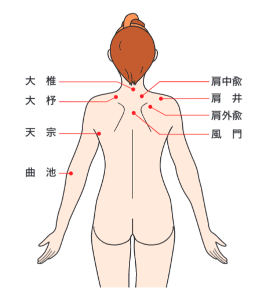 14_sinkyu_1